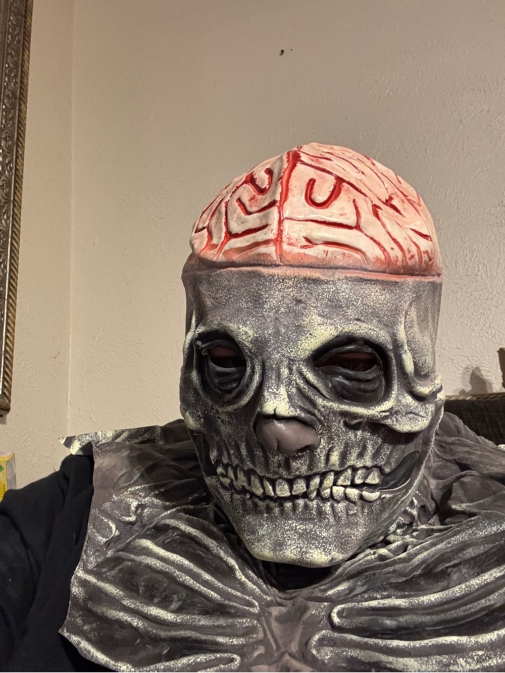 Skull With Exposed Brain Decorative Halloween Mask - Gray and Pink